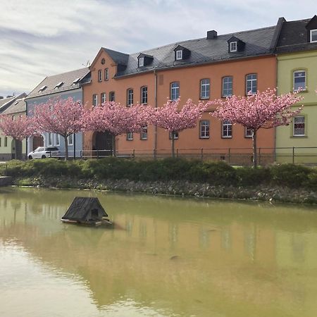 Pension Und Ferienwohnung Am Teich Schleiz Extérieur photo