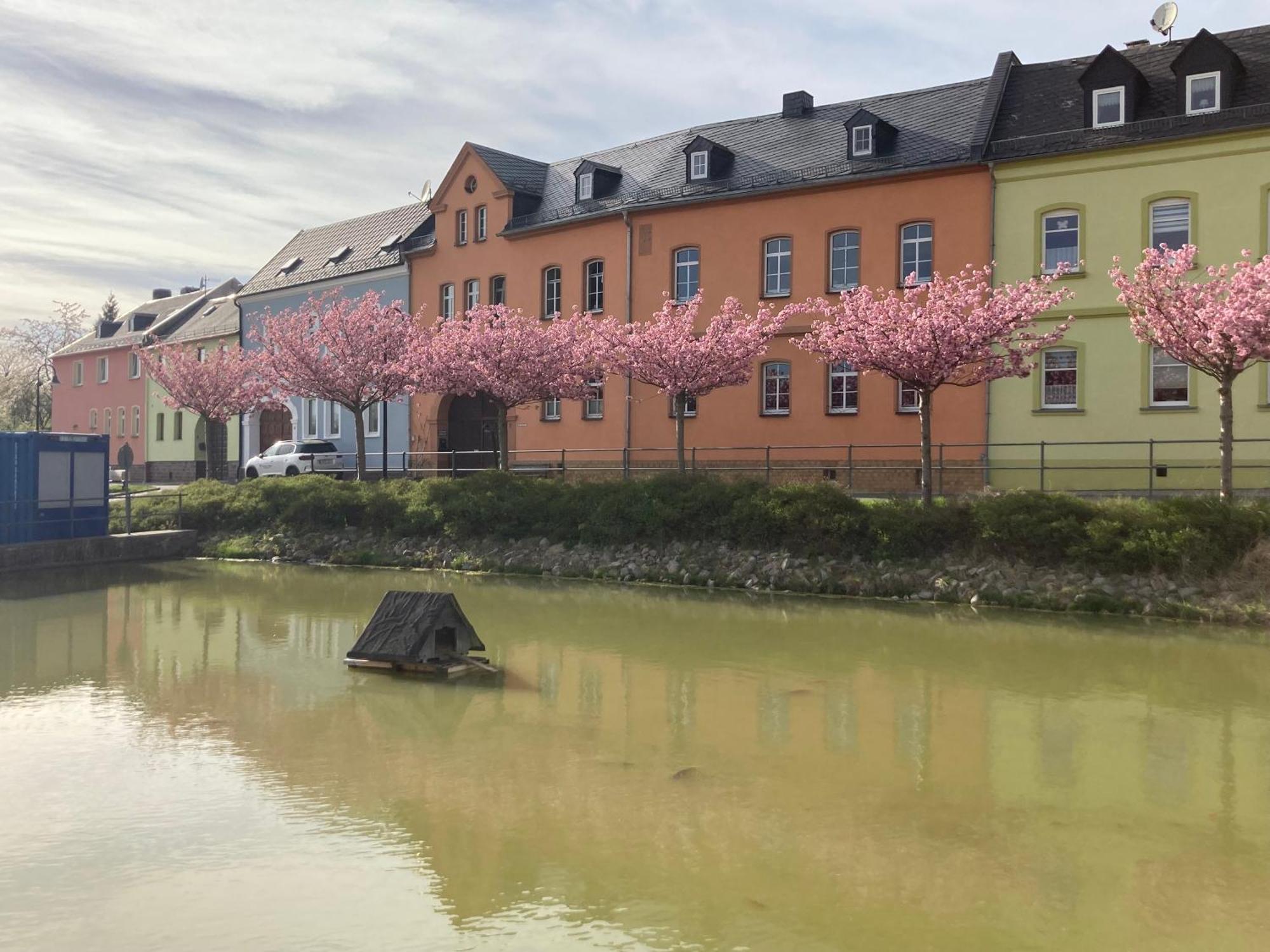 Pension Und Ferienwohnung Am Teich Schleiz Extérieur photo